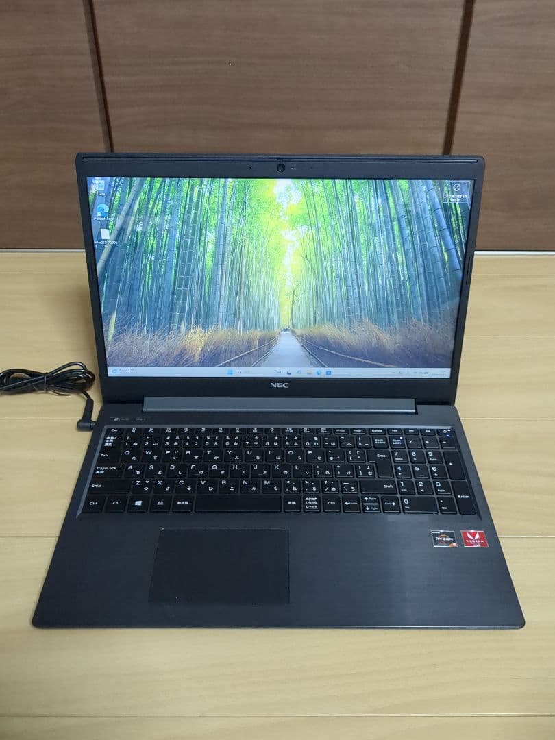 NEC LAVIE Direct Ryzen 5 メモリ8GB SSD256GB