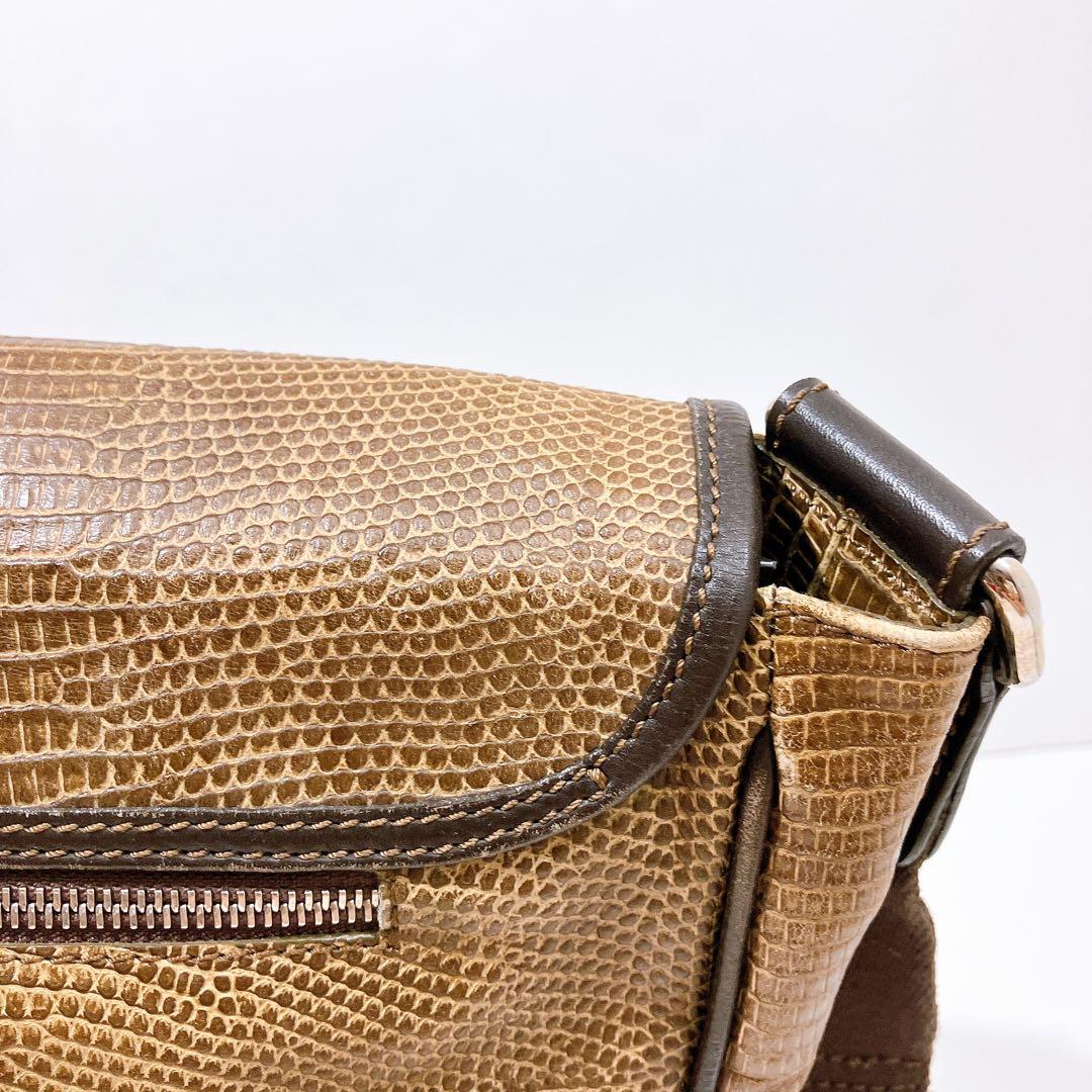 【逸品】ETRO レザー　メッセンジャー　ショルダーバッグ　蛇柄　型押し