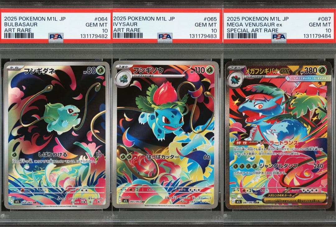 【PSA10】フシギダネ フシギソウ メガフシギバナex 3連番