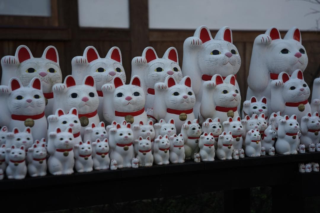 Zeiss Opton Sonnar 50mm f2 ＋マウントアダプター