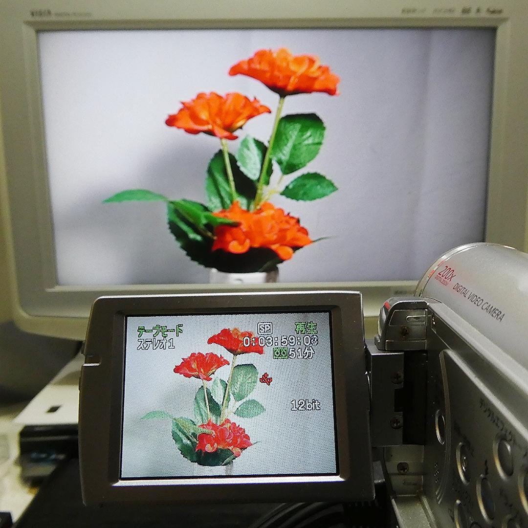 動作良好 キャノン IXY DV M3 MiniDVビデオカメラ DVD化に最適