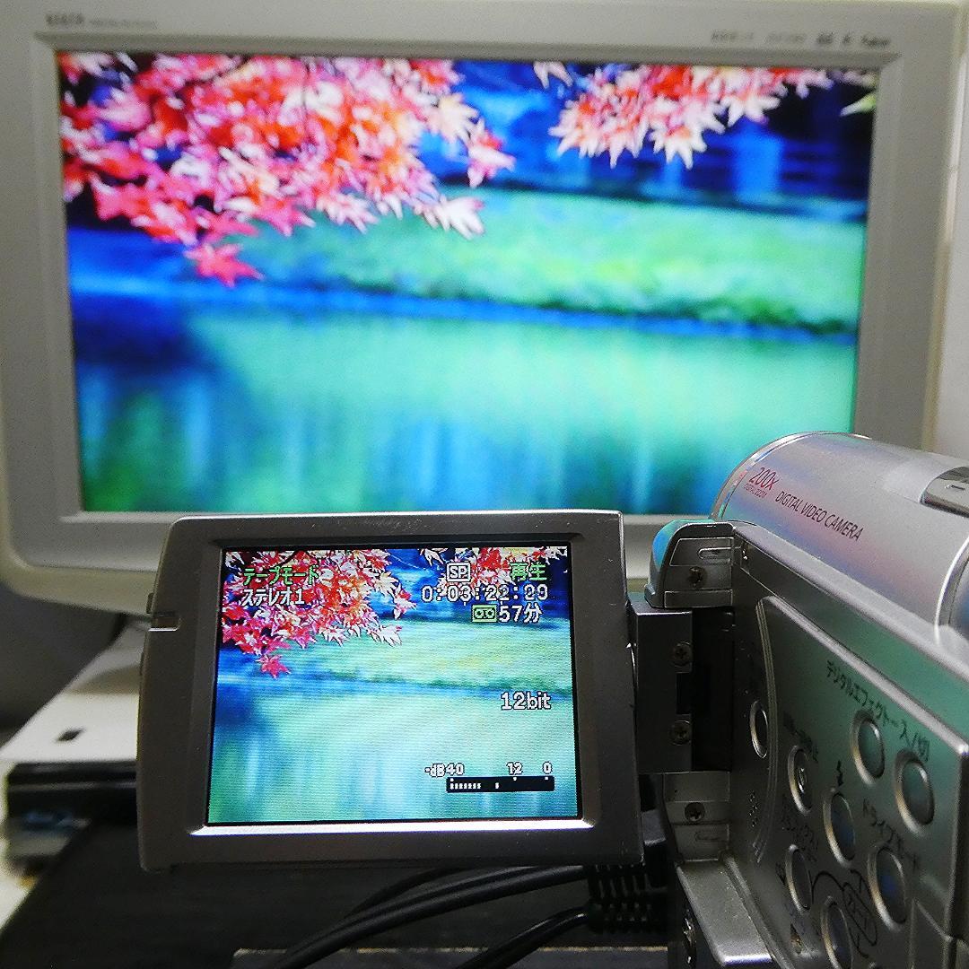 動作良好 キャノン IXY DV M3 MiniDVビデオカメラ DVD化に最適