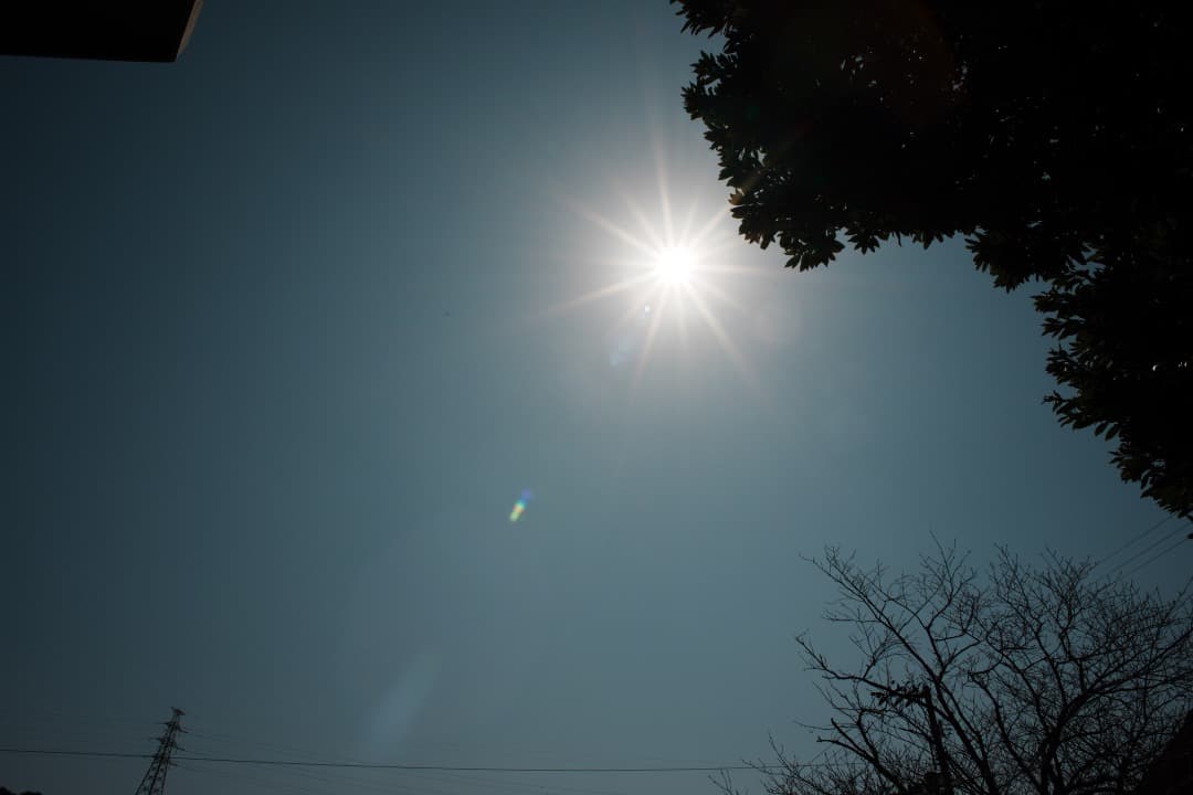 【美品】動作◎ nikon Ai-s Nikkor 24mm F2.8 382