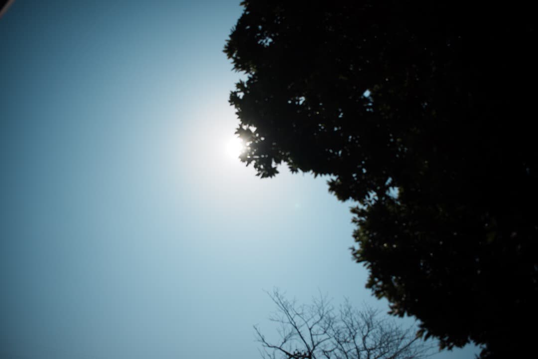 【美品】動作◎ nikon Ai-s Nikkor 24mm F2.8 382