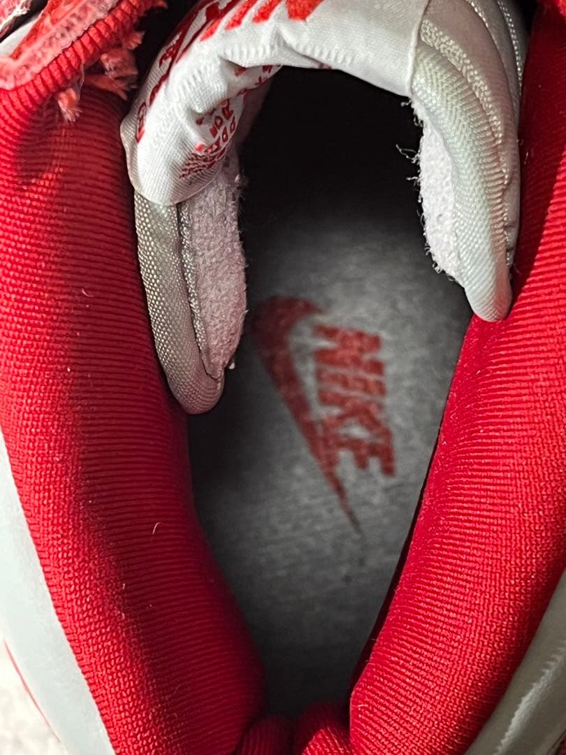 し*ん様 【超美品】1999年製NIKE DUNK HIGH LE NEVADA