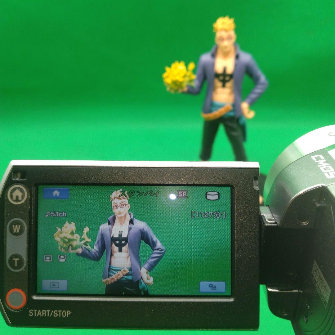 【動作確認OK】ナイトショット付 SONY Handycam DCR-SR220