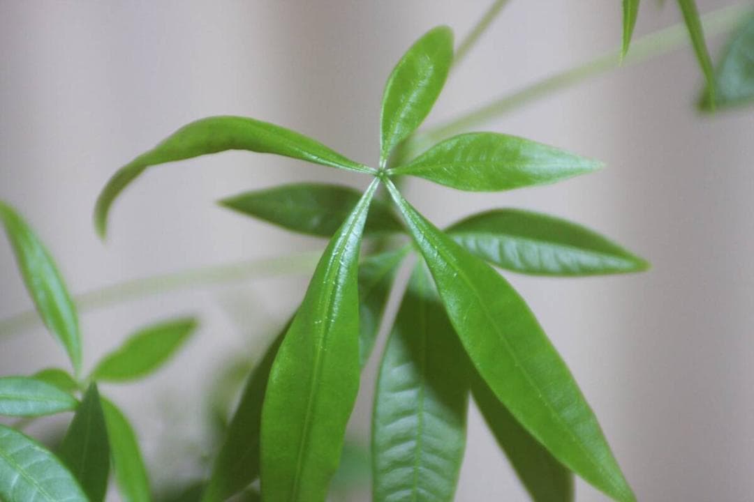 #647 キャノン Canon EF 28-70mm f2.8L USM