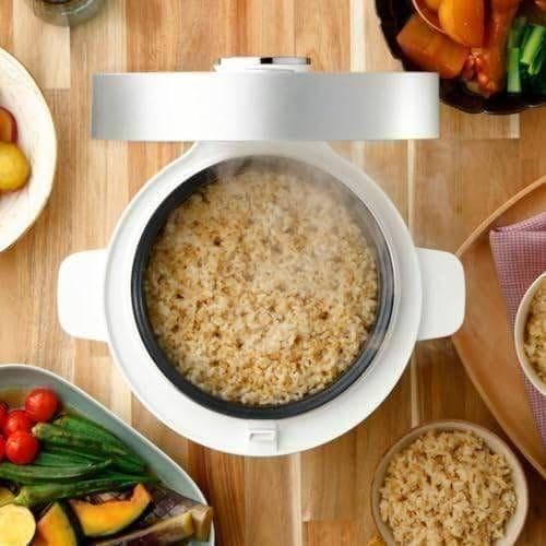 発芽玄米炊飯器 HATSUGA LABO 発芽玄米炊飯器 ELM-10