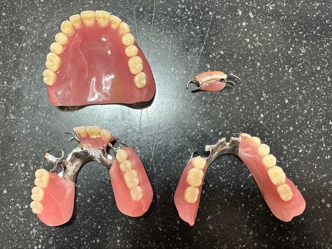 義歯　入れ歯　見本