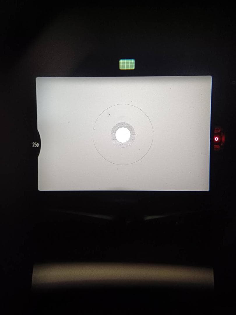 超美品 ニコン New FM2 シルバー フィルム　モルト新品交換済 M446