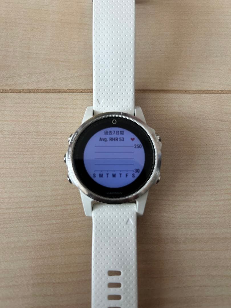 GARMIN fēnix 5S White