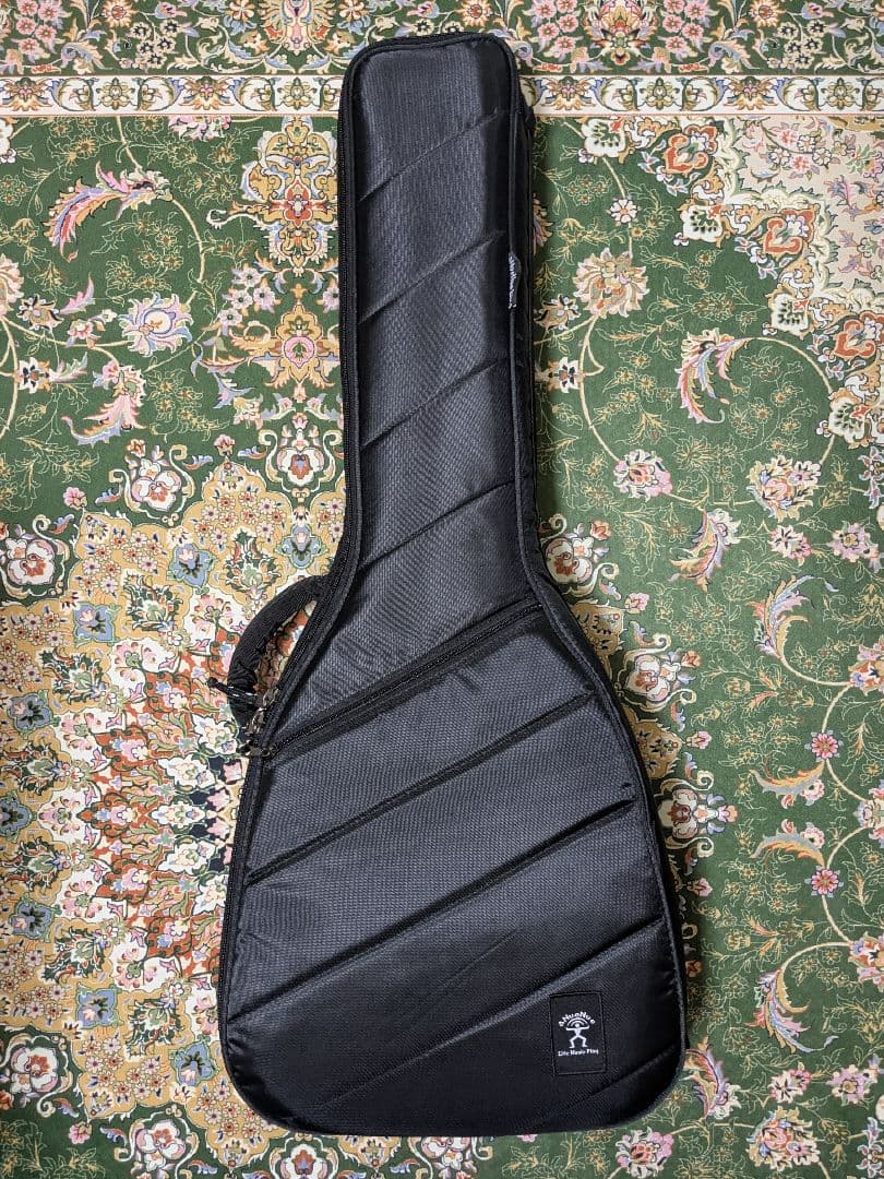 アヌエヌエ aNN-M12　アコースティックギター　純正ストラップ・ケース付き