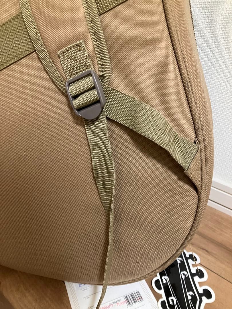 Taylor GSmini アコースティックギター　付属品多数！