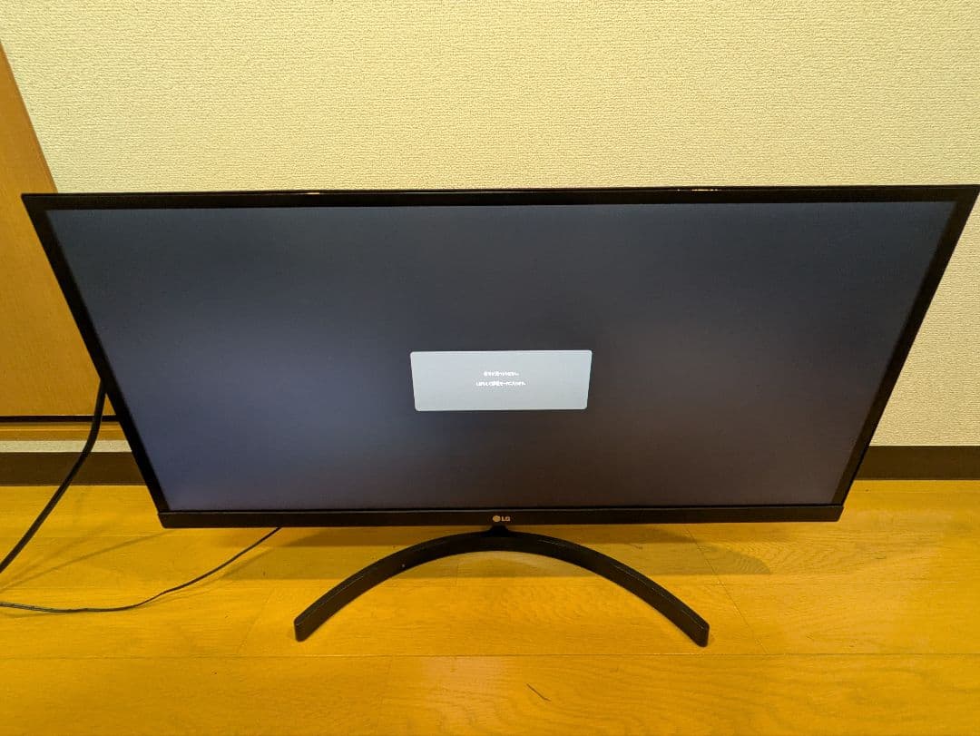 LG 29WL500-B 29インチモニター