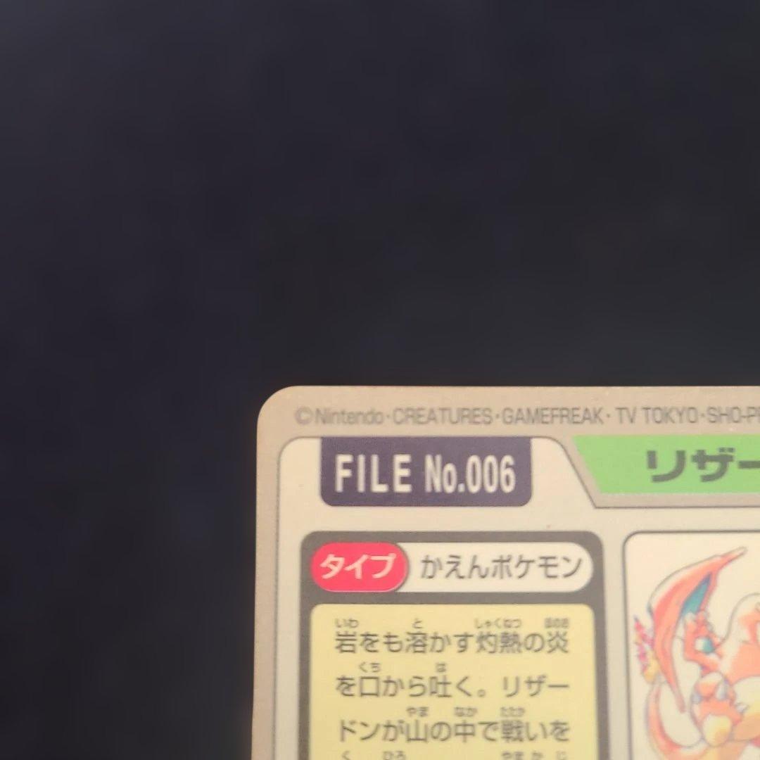 リザードン トレーディングカード FILE No.006