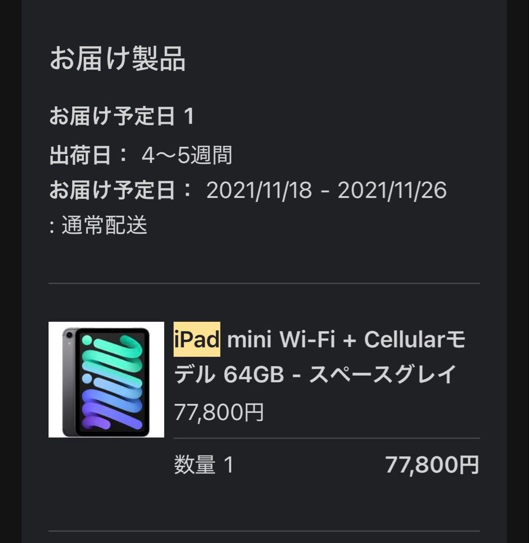 iPad mini 6 Wi‑Fi + Cellularモデル