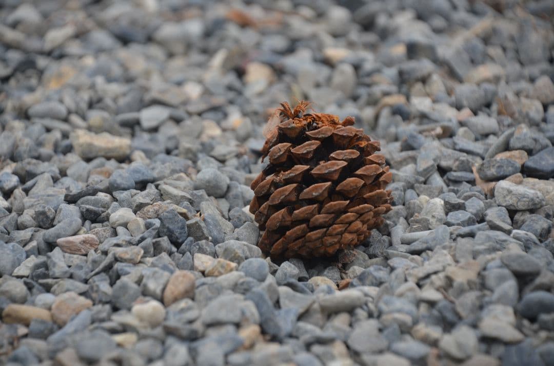 ❤即購入1000円OFF❤ Nikon AF-S 18-300mm VR レンズ