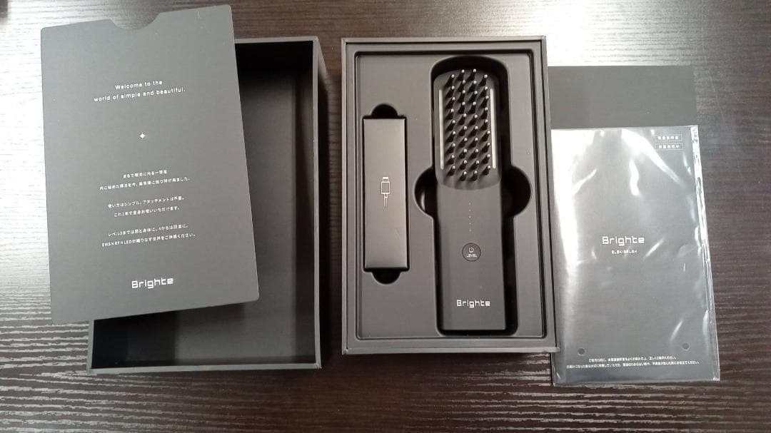 Brighte ELEKI BRUSH　エレキブラシ【未使用に近いUSED】