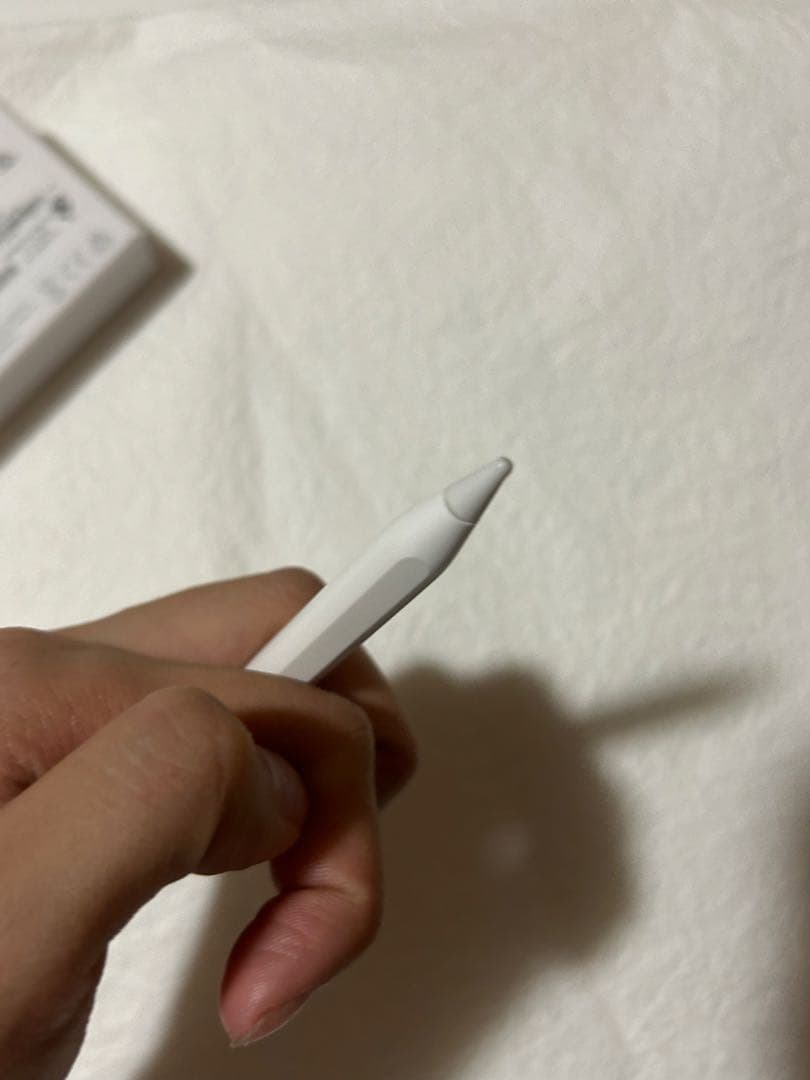 Apple Pencil (USB-C)ホワイト