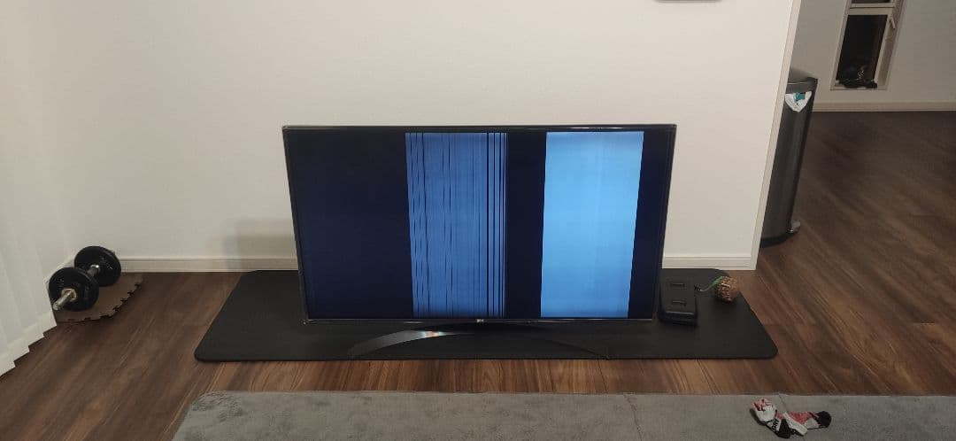 LG 49UJ630A 液晶テレビ 画面不具合あり