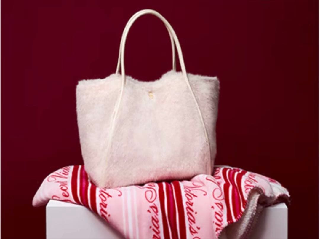 専用〜Victoria's Secret プッシュアップブラ 6点