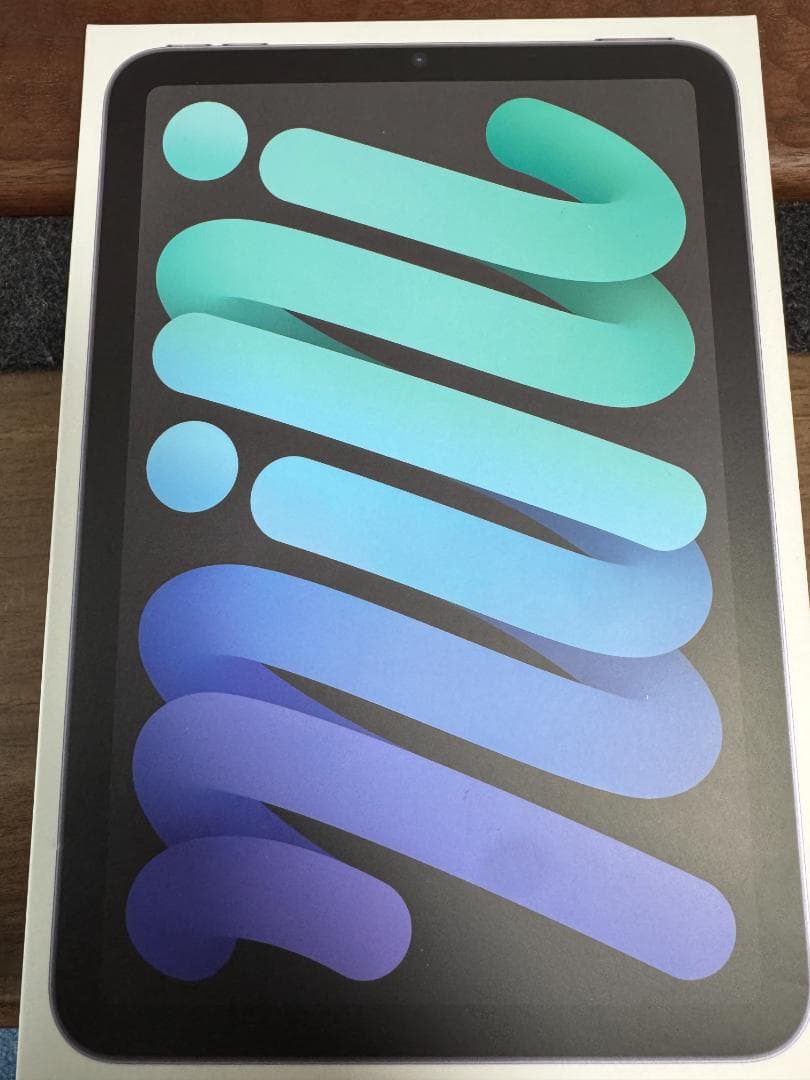 ふ*あ様 iPad mini 第6世代 256GB Cellular Penci