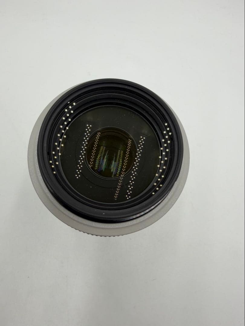 キャノン Canon EF 70-300mm F4-5.6 L IS USM