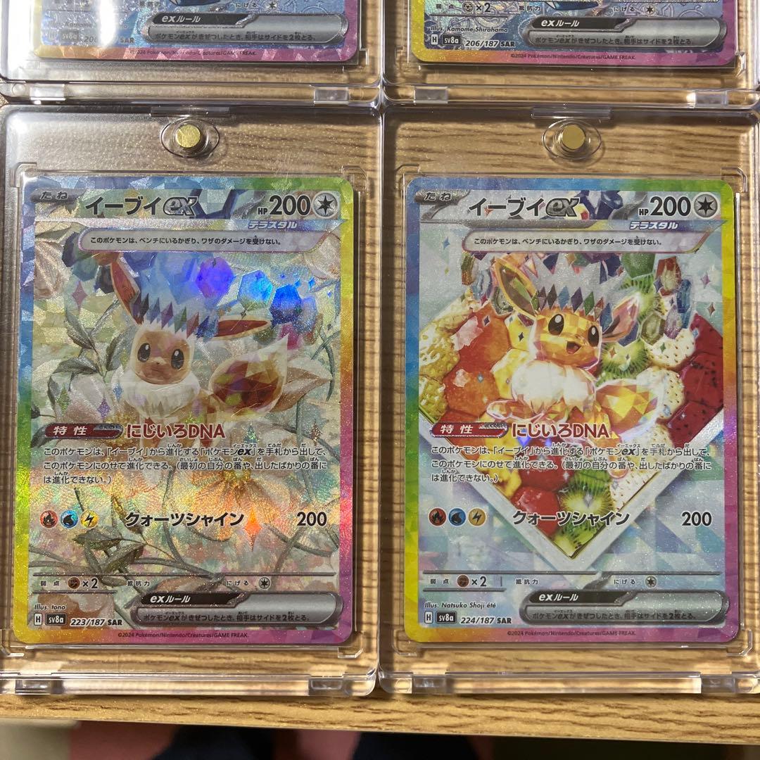 テラスタルフェスex ブイズsar含む 12枚まとめ売り