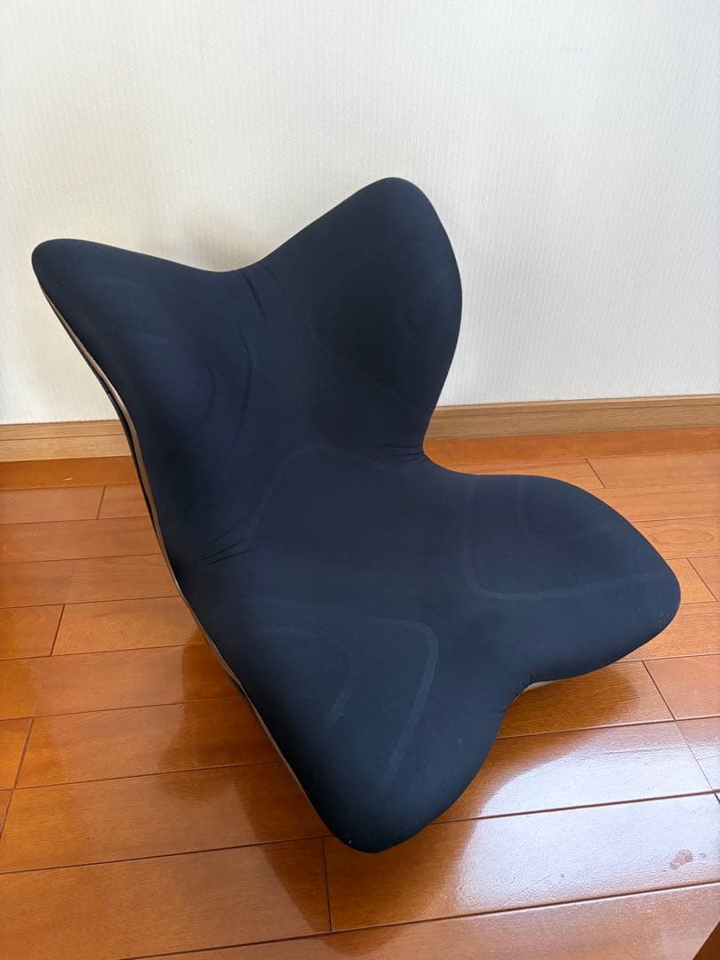 MTG スタイルプレミアム ブラック バタフライ型 姿勢矯正クッション