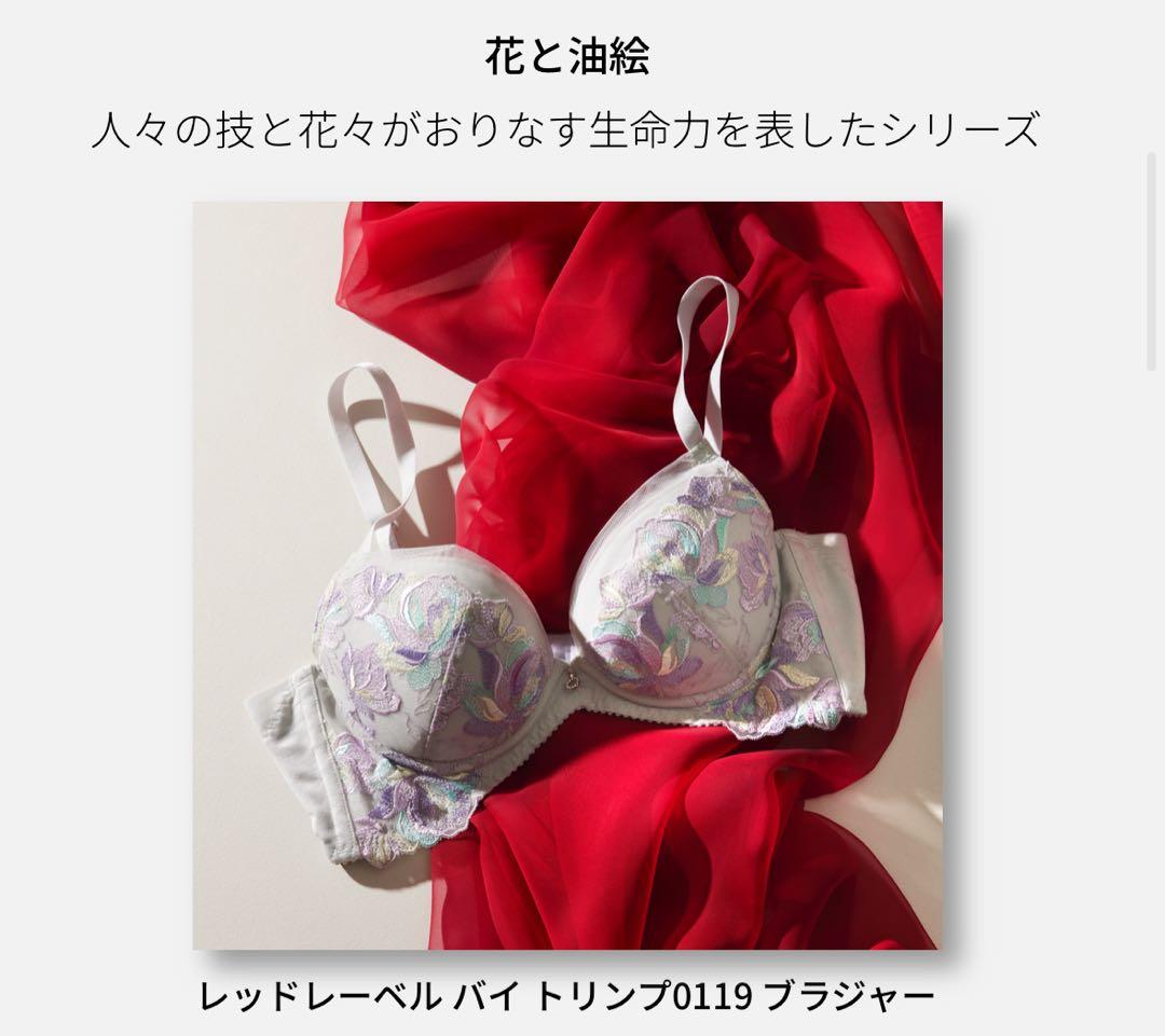 D80L トリンプ プレミアム 寄せアゲハ 花と油絵 ブラ＆ショーツ M019