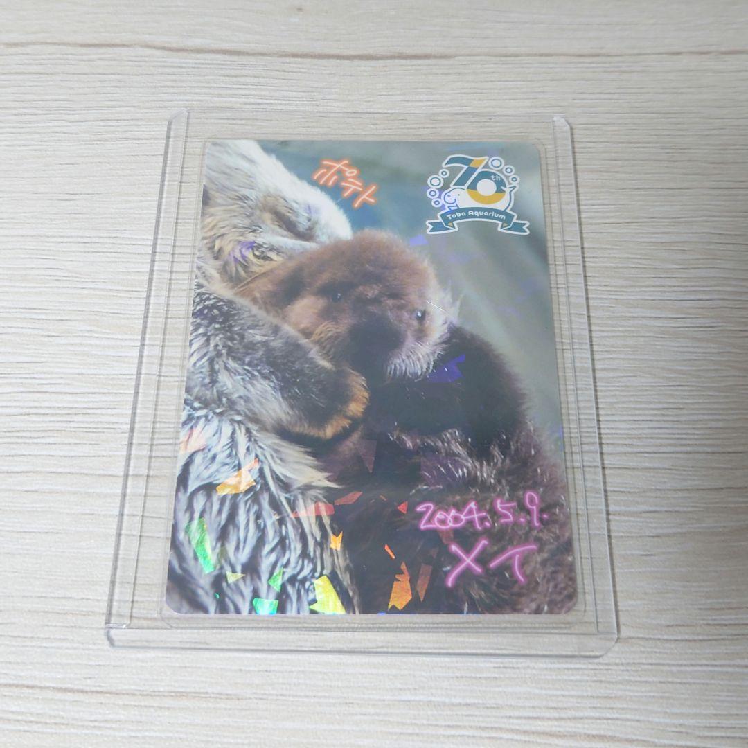 鳥羽水族館 コレクションカード メイ レア