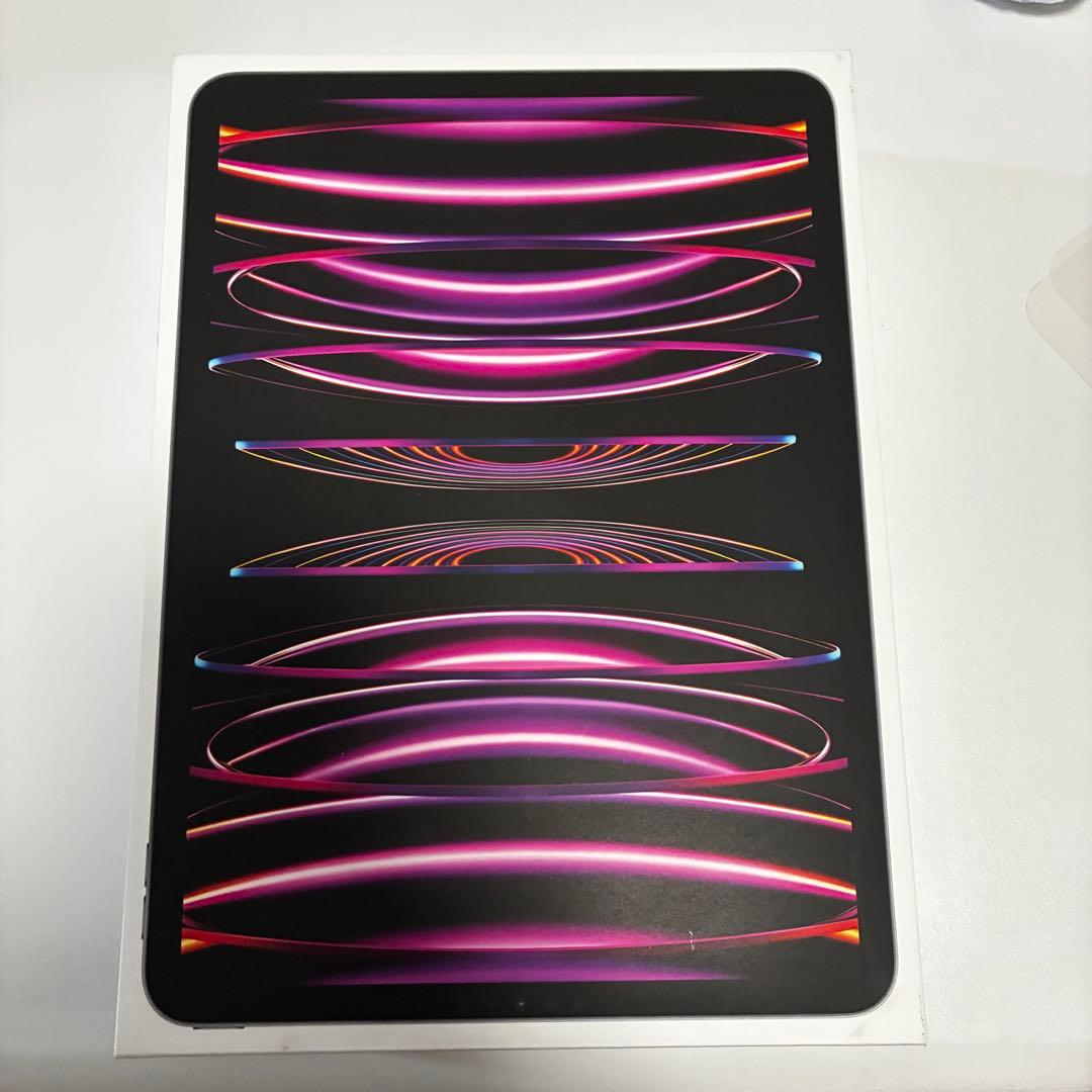 Apple iPad Pro 11インチ 第4世代256GB Wi-Fiモデル