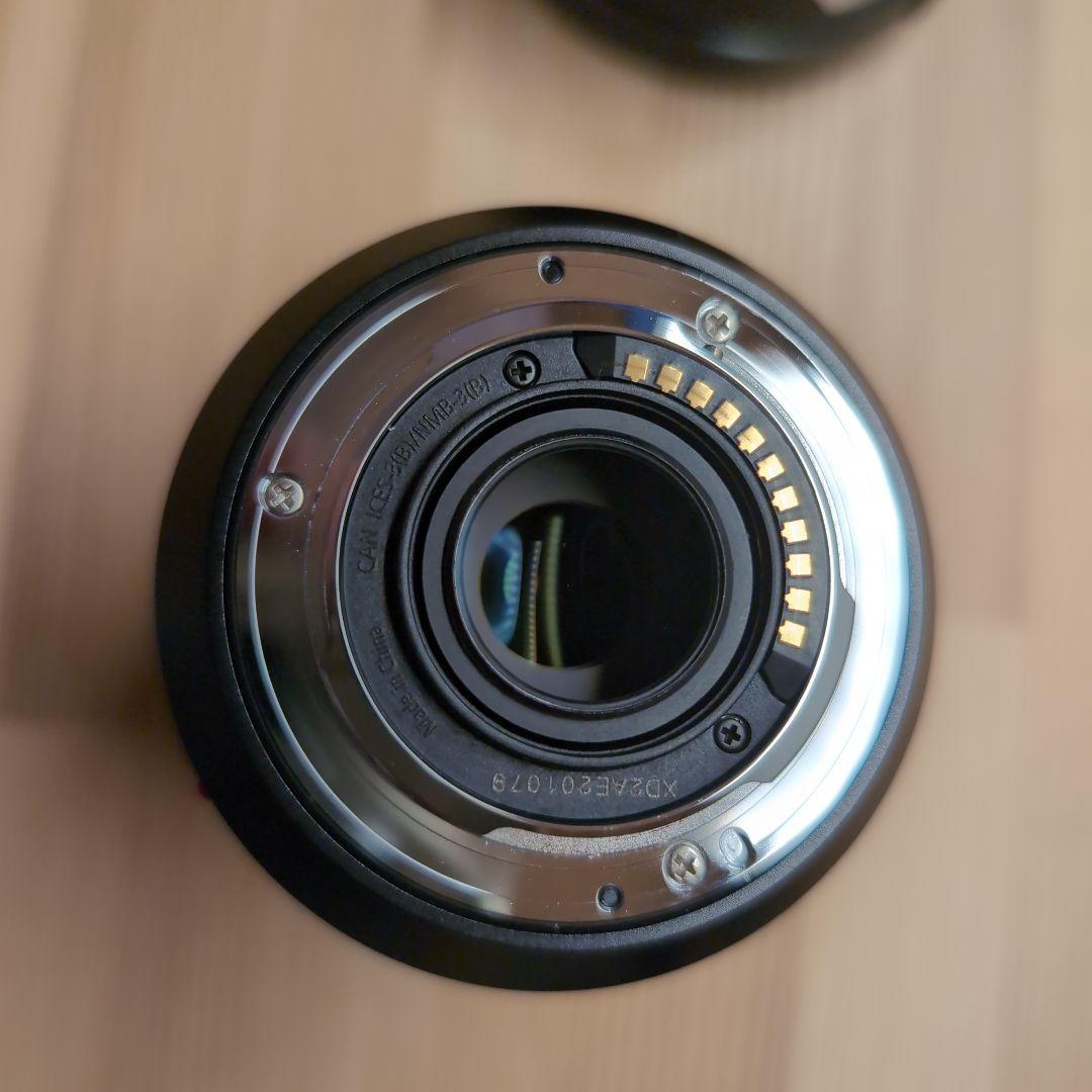 レンズ(ズーム) LEICA DG Vario-Elmarit 12-60mm