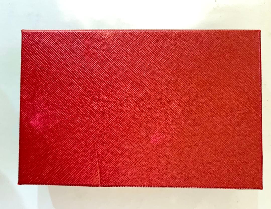 【新品未使用】Cartier パシャ ケース パース レザー