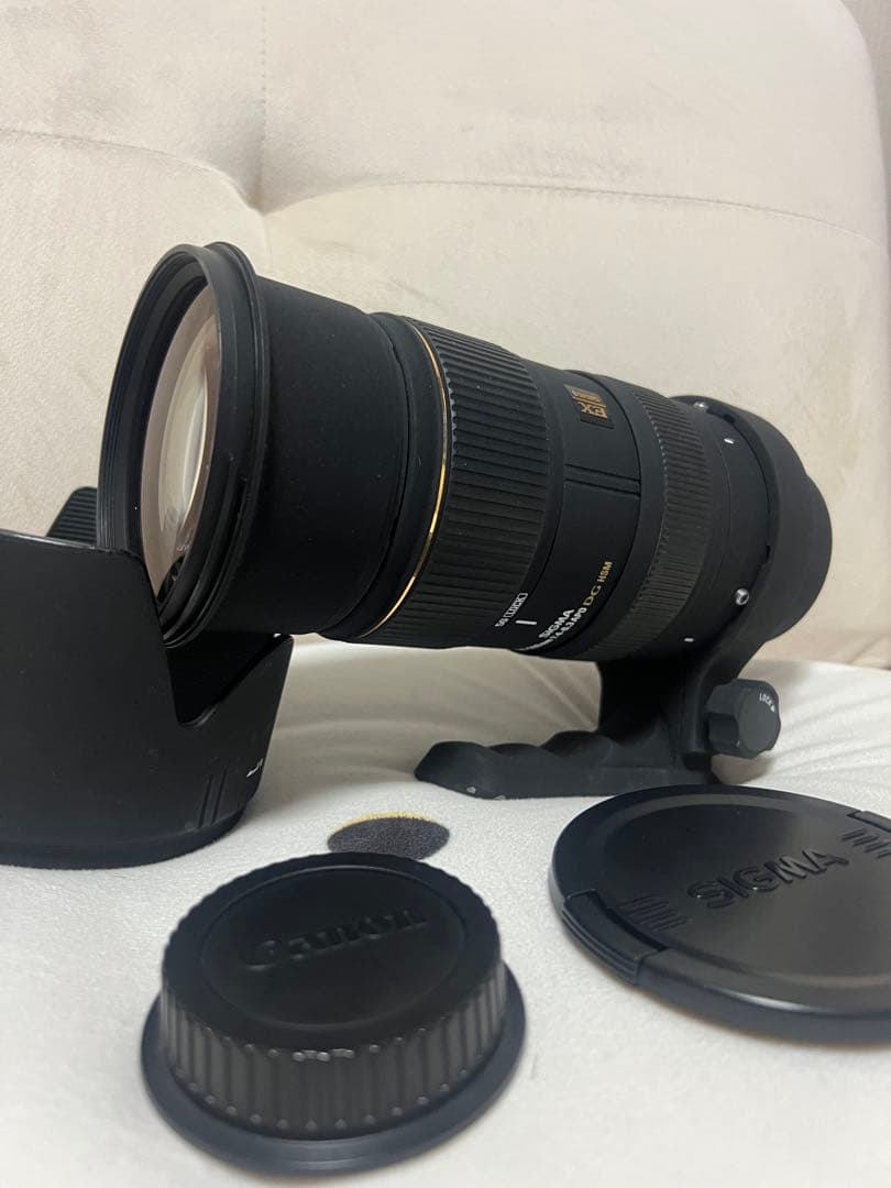 SIGMA シグマ DG 50-500mm Canon用