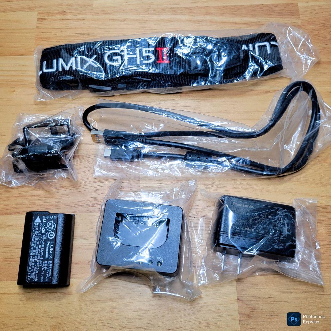 【 超美品 】 Panasonic Lumix GH5M2 パナソニック