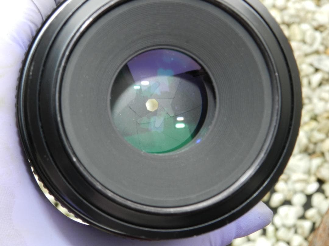 極美品　NIKON Micro NIKKOR 105mm f/4 即撮影可
