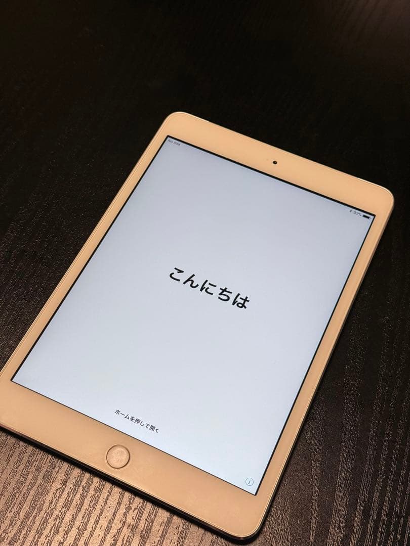 iPad mini（第1世代）セルラー docomo 16GB ケース付き