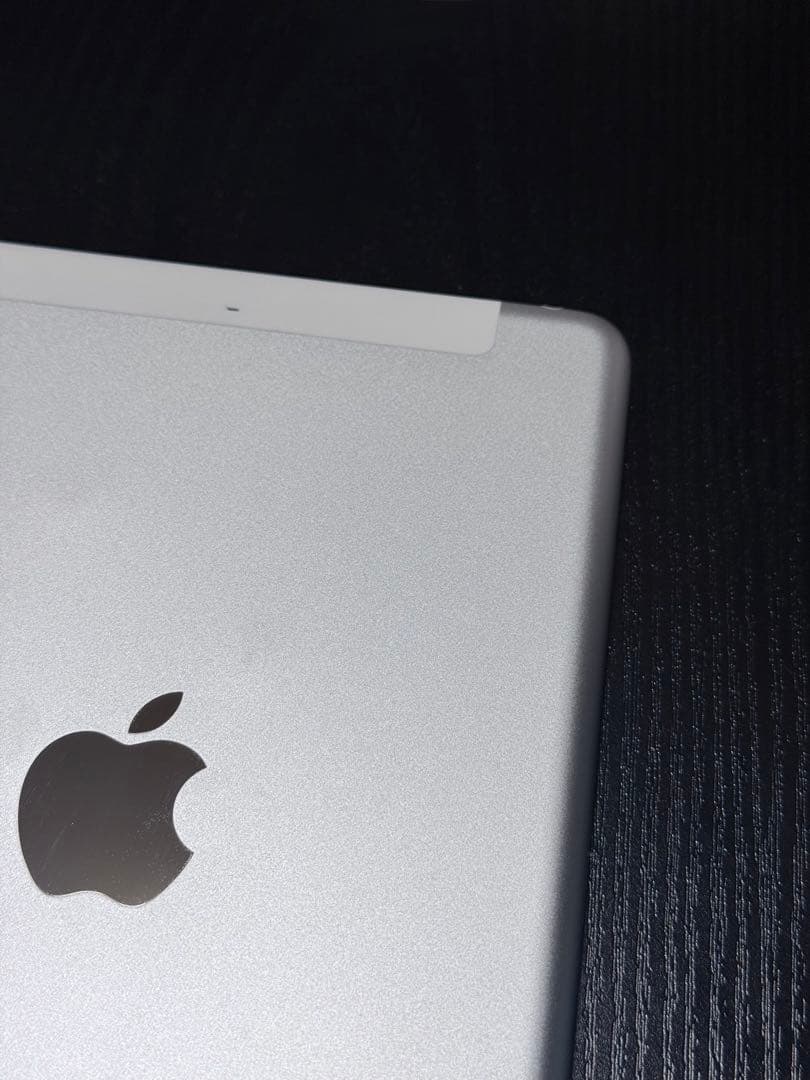 iPad mini（第1世代）セルラー docomo 16GB ケース付き