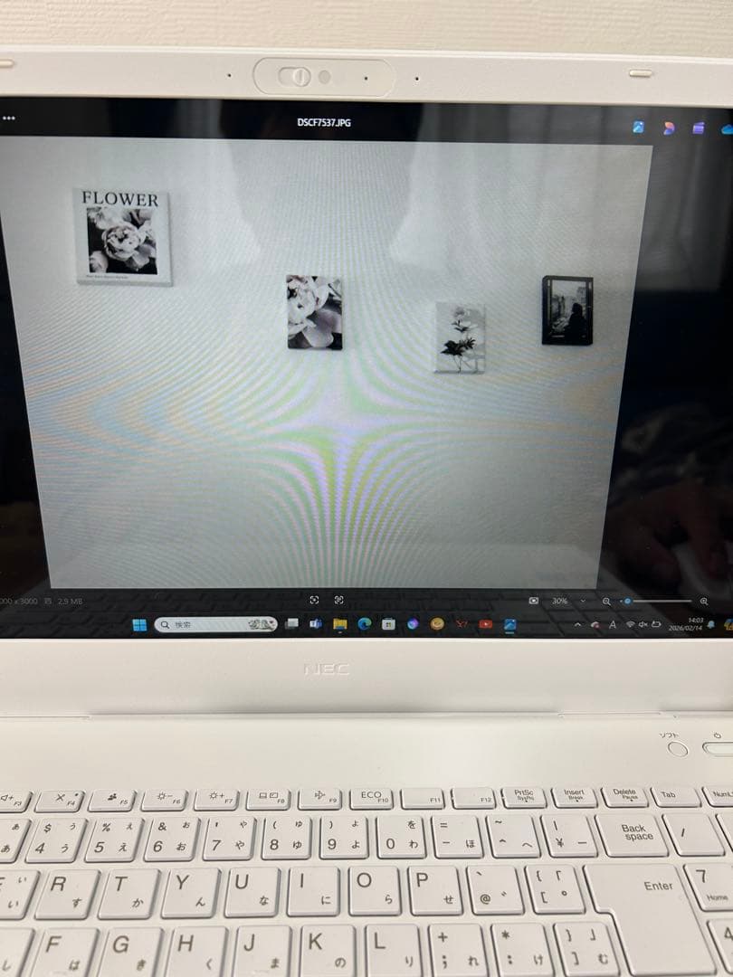 フジフィルム FINEPIX F80EXR デジカメ