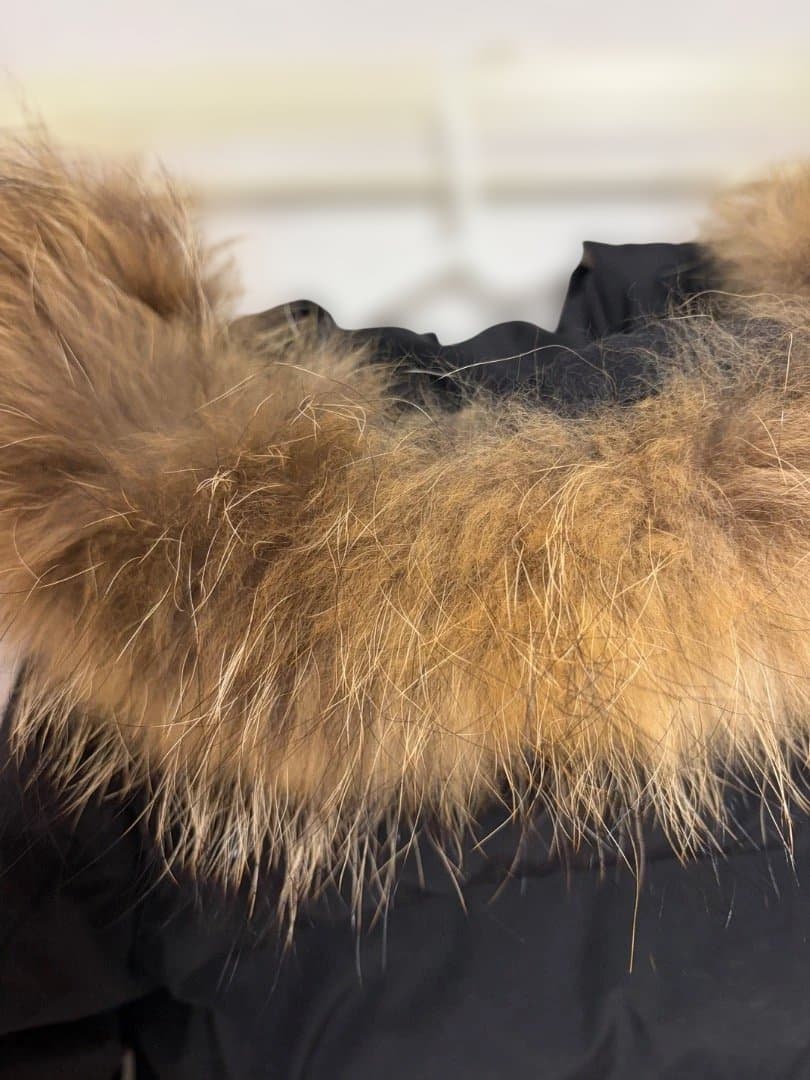 美品　DANTON フード付きブラックダウンジャケット