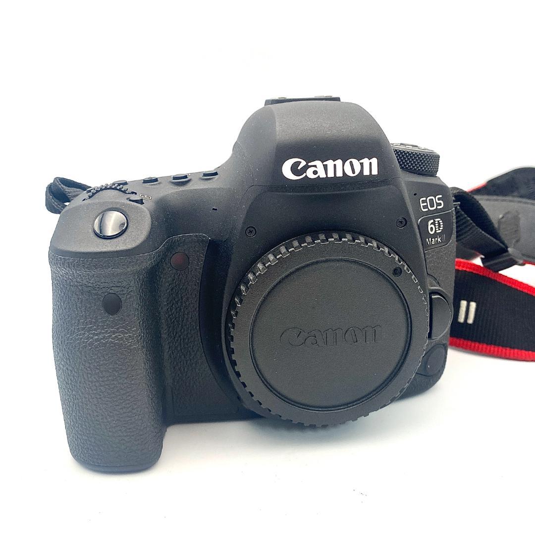 美品 Canon EOS 6D Mark II 本体 充電器 バッテリー セット