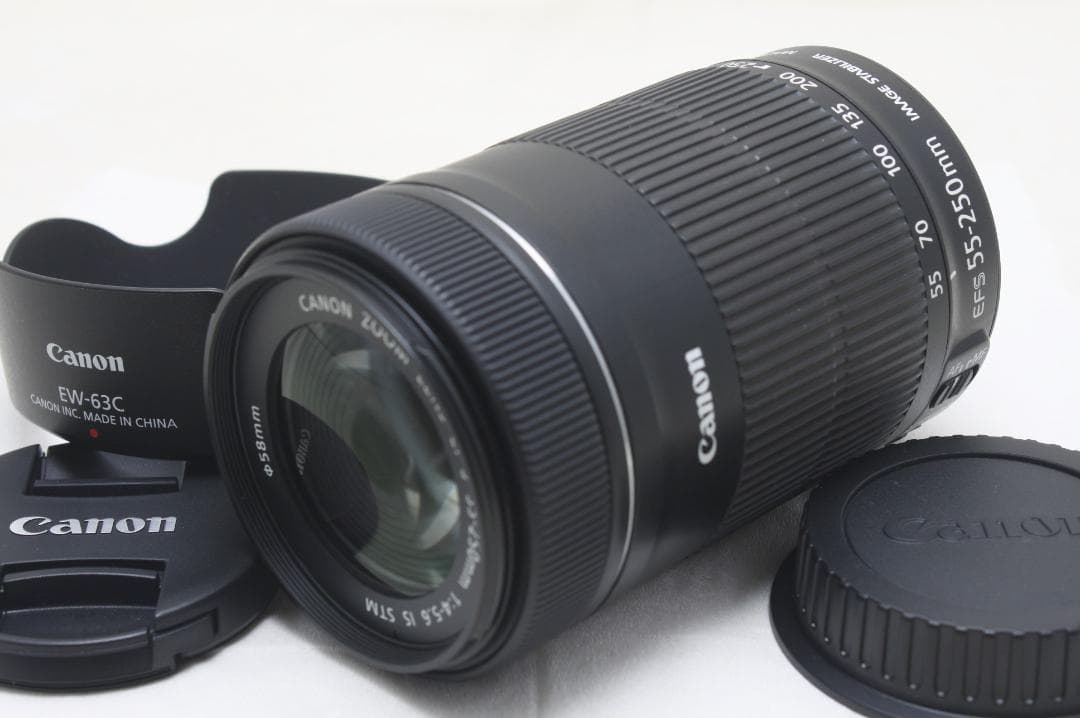 キヤノン EF-S 55-250mm F4-5.6 IS STM 0025
