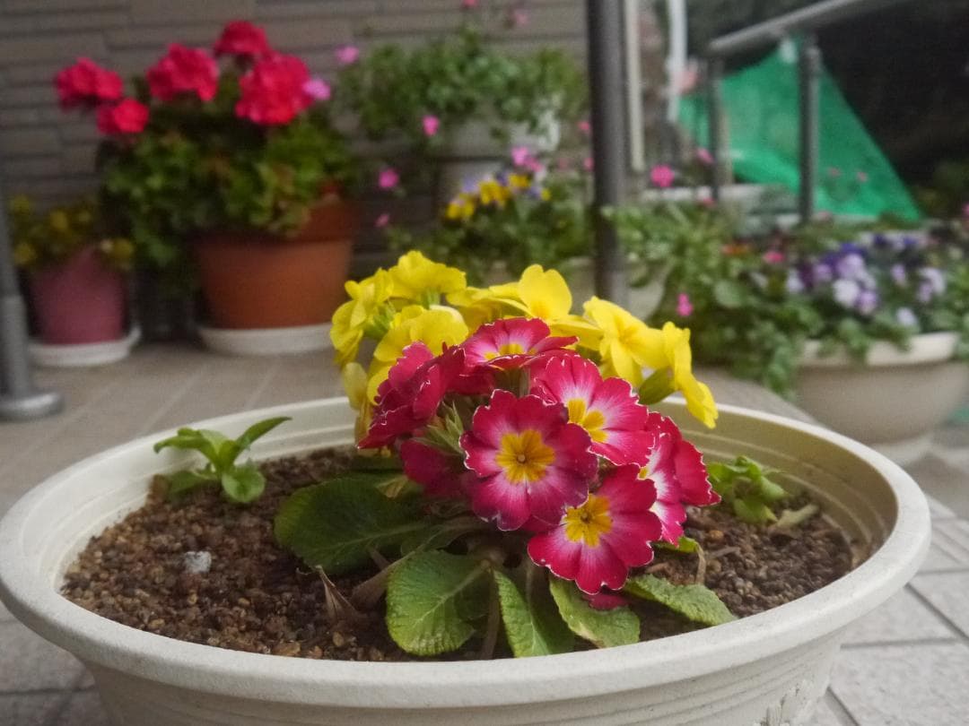 掲載停止し前再値下ですレンズ付きLUMIX G DMC-G3 ミラーレス一眼