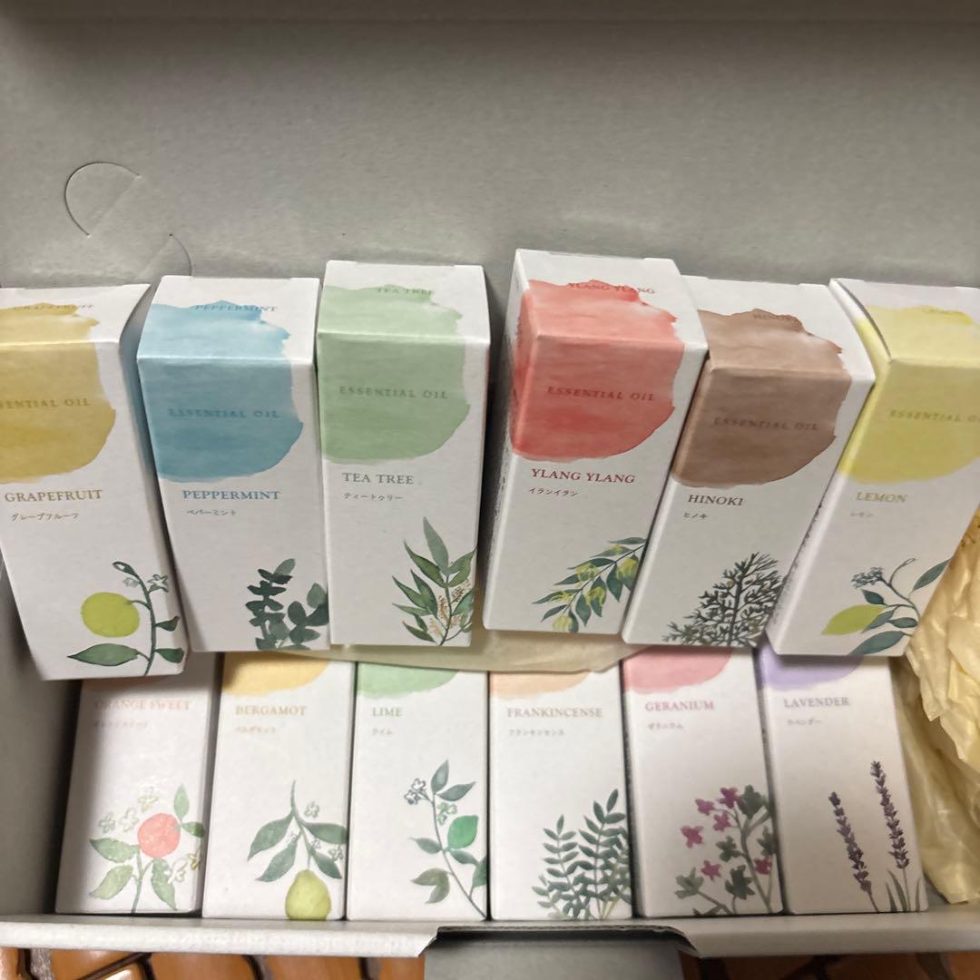 生活の木 エッセンシャルオイル12本セット 容量各5ml アロマ