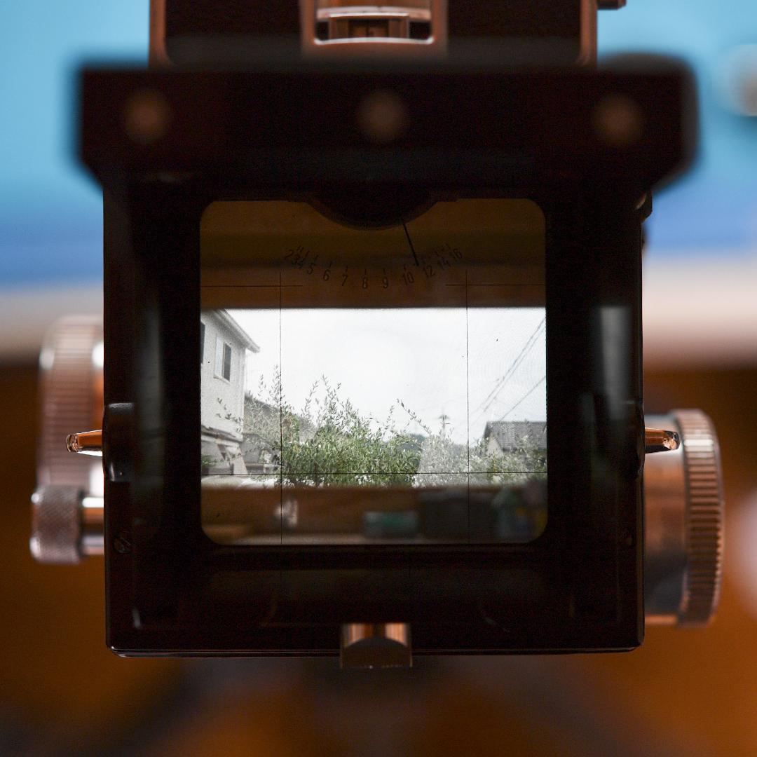 オーバーホール済　Zeiss Ikon IKOFLEX FAVORIT 二眼レフ