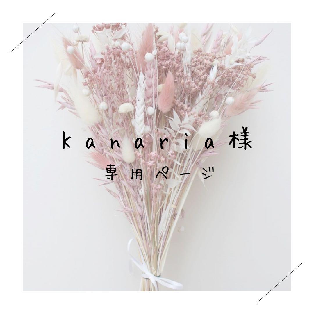 Kanariaページ