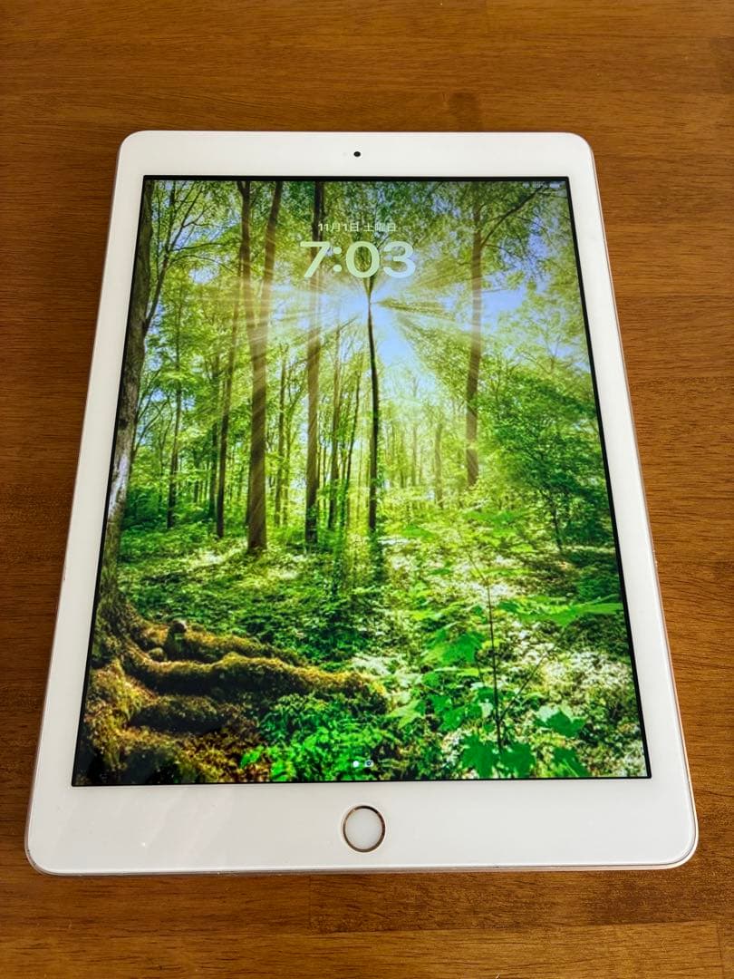 iPad 第5世代 32GB Wi-Fiモデル