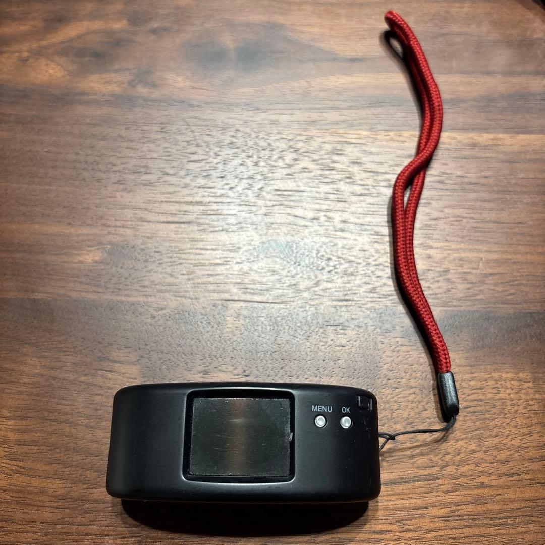 デジタルハリネズミ(トイカメラ)