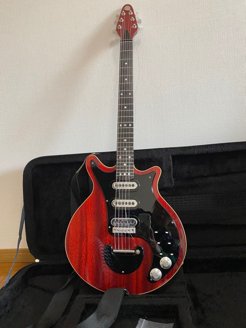 い*ぬ様 レッドスペシャルブランメイモデル ケース付き